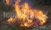 Нови 18 пожара горяха само за денонощие в Плевенско
