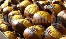 Обсъдиха развитието на кестеновите насаждения в Брежани