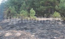 Локализираха пожара в Сакар