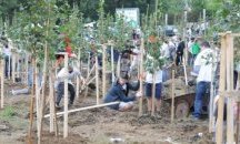 Варна се присъединява към инициативата „Моят зелен град“