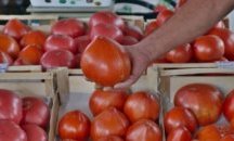 Пет причини да ядем повече домати