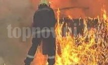Над 130 дка царевица и зърнокомбайн изгоряха в Плевенско за денонощие