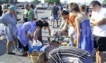 Разширяват битака в Търговище