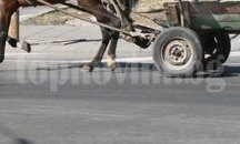 Писаха актове на нарушителите с каруци