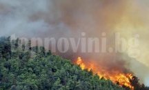 12 горски пожара са регистрирани през август в обхвата на Североизточно държавно предприятие