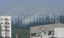 Шест горски пожара са регистрирани през август във Варненска област