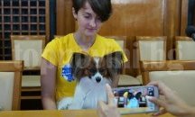 Бургазлии са сред най-често осиновяващите кучета в страната
