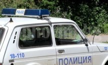 Дърва без документи откриха в „Шаран“ с подправена регистрация