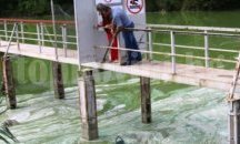 Резултатите от водните проби на язовир „Пчелин 1“ не показват промишлено замърсяване