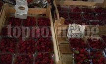 Фермерският пазар в Пловдив се мести, набират нови участници
