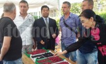 Производители от Лозница с рекорден добив на малини