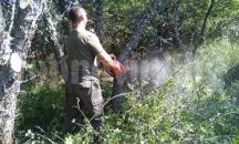 Почистиха граничната бразда с Македония
