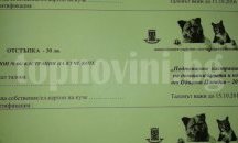 Община Пловдив: Кастрирайте животното или върнете талона за отстъпка