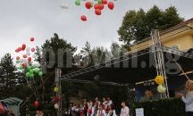 Стартира традиционният фолклорен събор "Ценово пее и танцува"