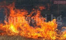 Животни изгоряха при пожар в плевенско село
