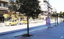 Комисия провери обновените 20 000 кв. м тротоари и улици във В. Търново