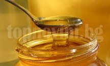 Откриха изложба-базар на пчелен мед и пчелни продукти в Шумен