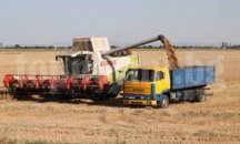 Приключва жътвата на пролетните култури в област Разград