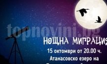 Канят бургазлии да наблюдават нощна миграция на птиците