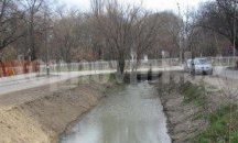 Започва есенната дератизация на шахти и дерета