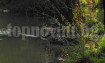 Речните нива в Русенско са без съществени изменения