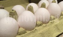 В „Камчия“ отвори врати една от най-големите пързалки на Балканите