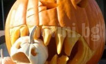 Гигантски плодове и зеленчуци влизат в оспорвана битка във Флората