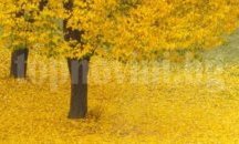 Октомври си отива с облаци, ноември ще бъде дъждовен