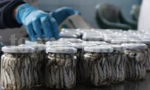 Предприятие за риба в Айтос е лидер в Бургаско с ръст на приходите от 970 %