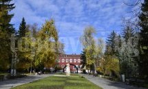 Във Велико Търново събраха над 65 тона листна маса