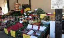 Био вина от региона на Айтос представят на фермерския пазар в Бургас