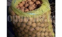 Разкриха кражба на 160 килограма орехи в Нова Загора