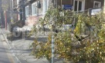 Столичната община предупреждава да бъдем внимателни заради силния вятър