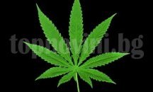 Задържаха 18-годишен от Търговище за притежание на канабис