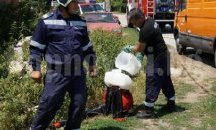 Набелязват превантивни мерки за недопускане на зараза по животни и птици