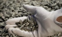 Задигнаха 2 тона слънчоглед от склад в Тервел