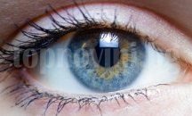 "Право на зрение" и в Хасково днес