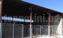 Общински приют за безстопанствени животни откриха в Попово