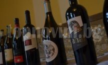 Рекорден брой производители на най-големия форум на български вина в НДК