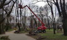 Затварят за движение ул. "Никола Симов"  в Търговище за обезопасяване на дърветата