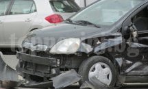 В Добрич се откри изложбата „В света на Дора Габе” (СНИМКИ)