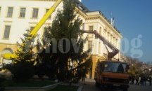 Сливен е с коледна елха, палят светлините й на Никулден