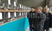 Кметът на Търговище Дарин Димитров посети традиционната изложба на гълъби
