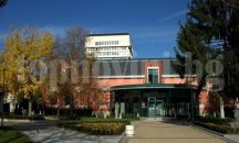 До края на март ще се приемат творби за Националната изложба „Лудогорие 2017“