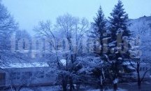 Пътищата в област Разград са мокри, но проходими при зимни условия
