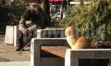 Хванаха още трима менте пенсионери от Разградско
