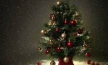 СИДП: Не купувайте коледни дръвчета без контролни пластини