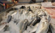 ИАРА започва масови проверки преди Никулден