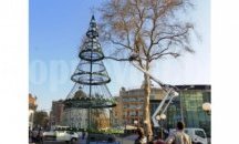 13-метрова елха се извисява в Поморие, палят я довечера