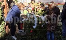 СИДП се включва в благотворителна кампания чрез продажбата на живи елхички